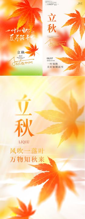 立秋节气系列海报