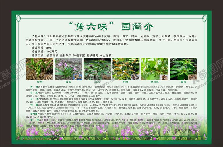编号：89904407060245057147【酷图网】源文件下载-药品简介