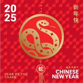 2025蛇年