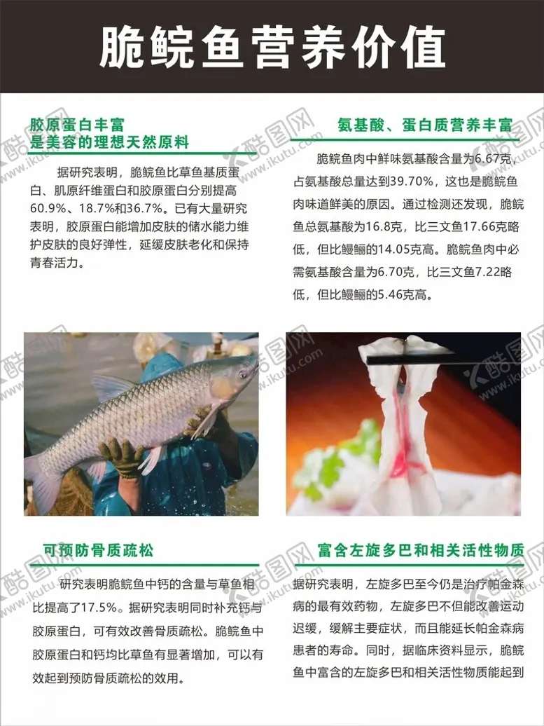 编号：57684302241933304368【酷图网】源文件下载-脆鲩鱼营养价值展板