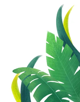 插画叶子植物草
