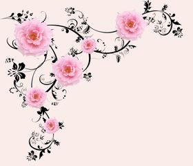 玫瑰花