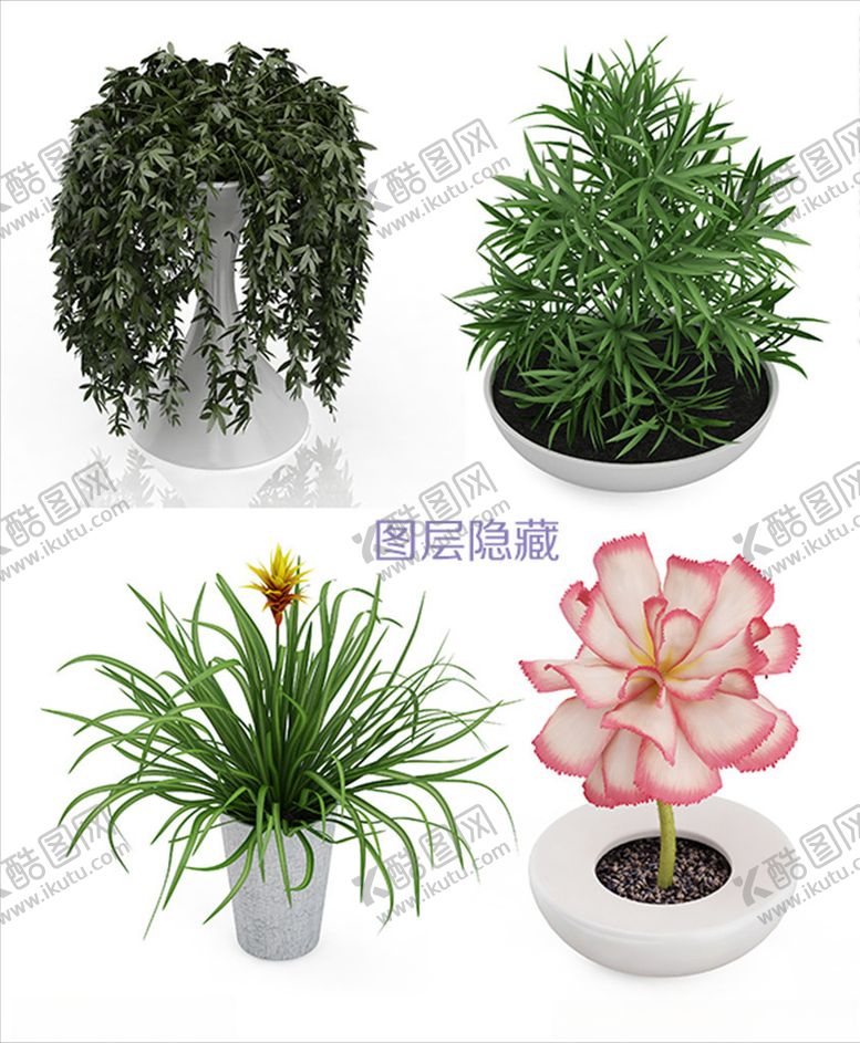 编号：24243710051502042836【酷图网】源文件下载-植物盆栽