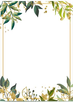 花边边框