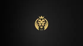 MADLions战队