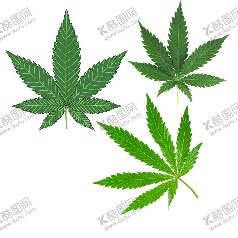 编号：63714009270425118904【酷图网】源文件下载-麻