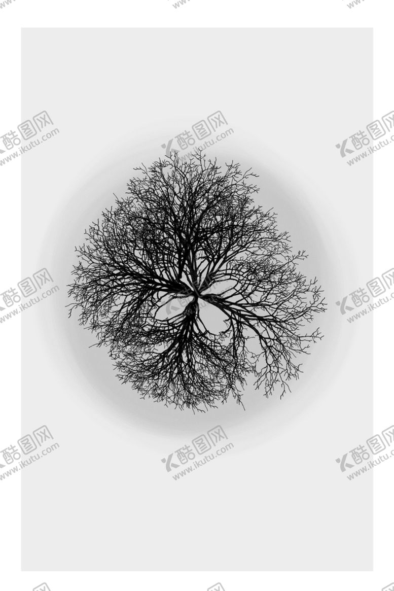 编号：97138609282218181283【酷图网】源文件下载-植物花草装饰挂画