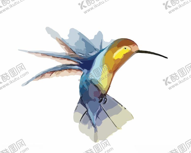 编号：67030209181121097121【酷图网】源文件下载-蜂鸟插图