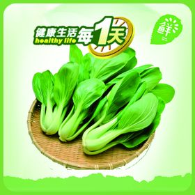 蔬菜挂图