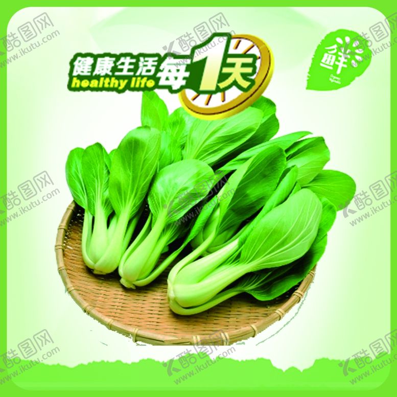 编号：26478205101622031664【酷图网】源文件下载-蔬菜挂图