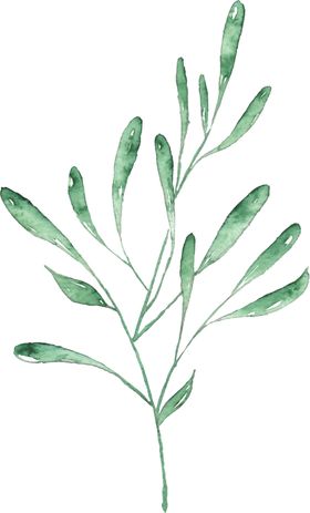 海报元素花草元素展架元素