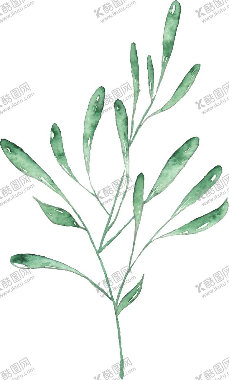 编号：13935906262022417882【酷图网】源文件下载-海报元素花草元素展架元素