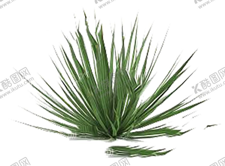 编号：35559509160914391077【酷图网】源文件下载-绿色相框