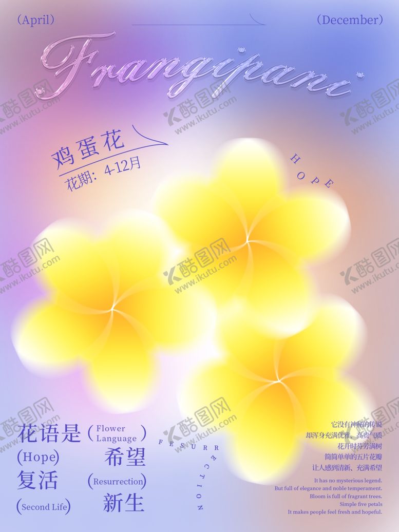 编号：44329602041446146918【酷图网】源文件下载-鸡蛋花清新散焦背景
