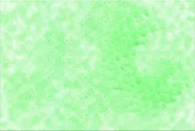 绿色背景设计春夏海报广告