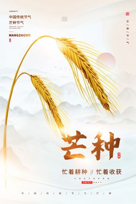 芒种海报