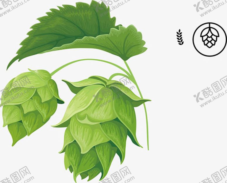 编号：45517502120506259904【酷图网】源文件下载-水彩植物叶子手绘植物