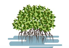 矢量植物