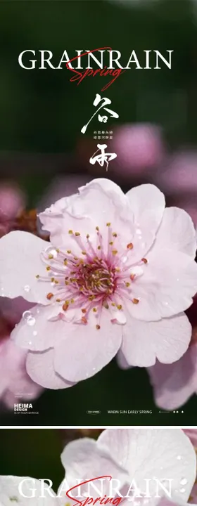 谷雨节气海报