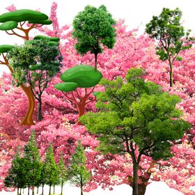 花草