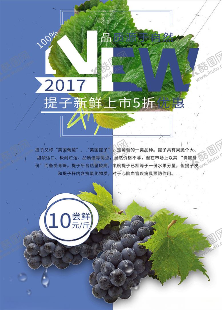 编号：76275705151502118184【酷图网】源文件下载-水果海报