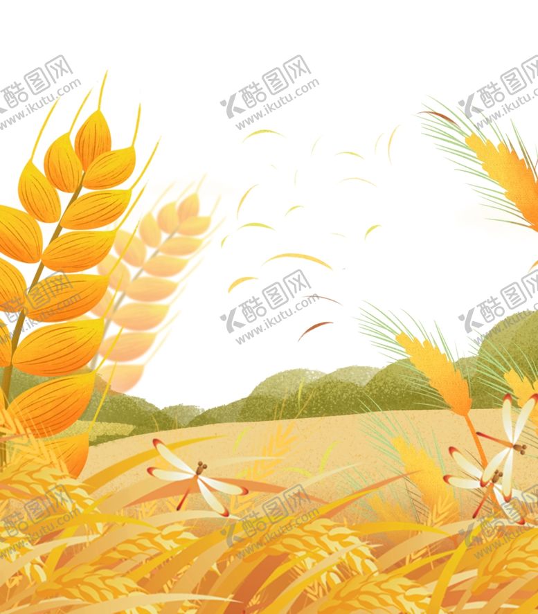 编号：28856102131529101945【酷图网】源文件下载-麦穗小麦图片