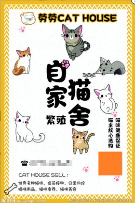 猫舍