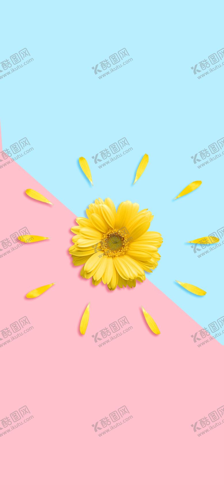 编号：49362909270839186999【酷图网】源文件下载-手机壁纸