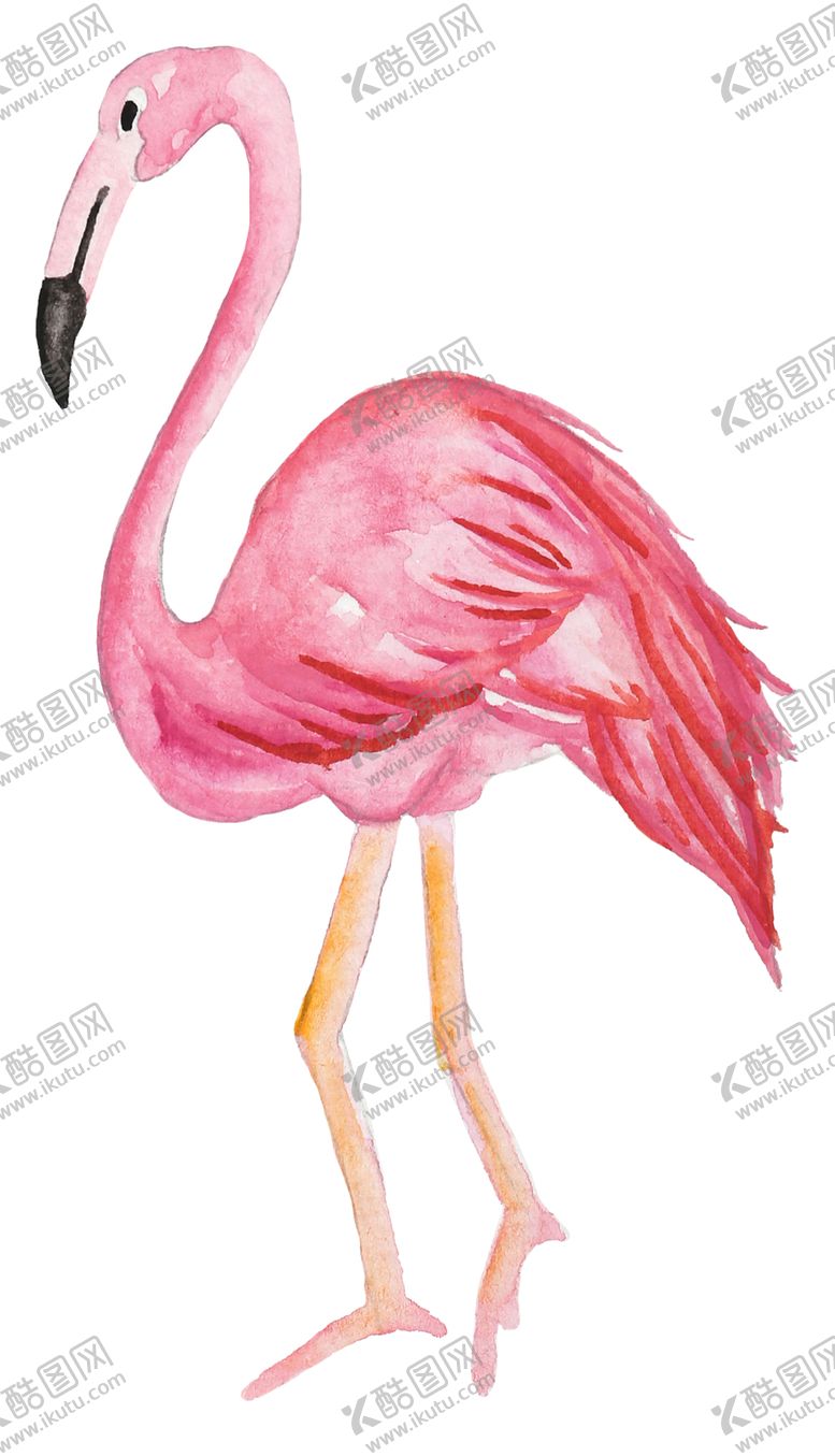 编号：30771307091841273956【酷图网】源文件下载-清新水彩植物花朵插画