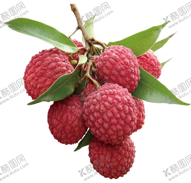 编号：23429104161830421483【酷图网】源文件下载-荔枝