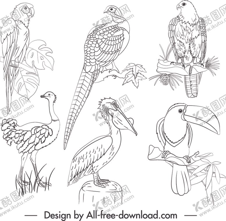 编号：94269709112050401045【酷图网】源文件下载-鸟类素描