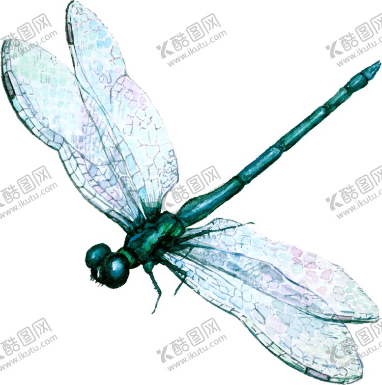 编号：14722204271156536671【酷图网】源文件下载-蜻蜓