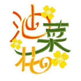 油菜花