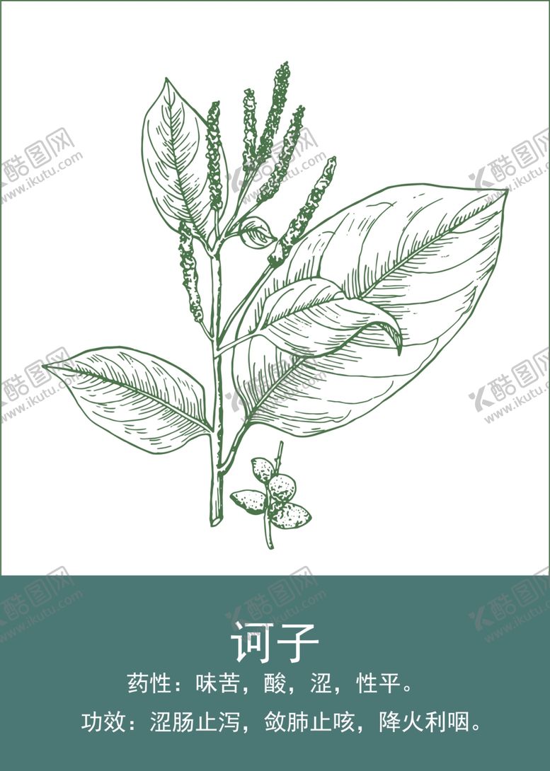 编号：54537101140933394116【酷图网】源文件下载-中药手绘插画