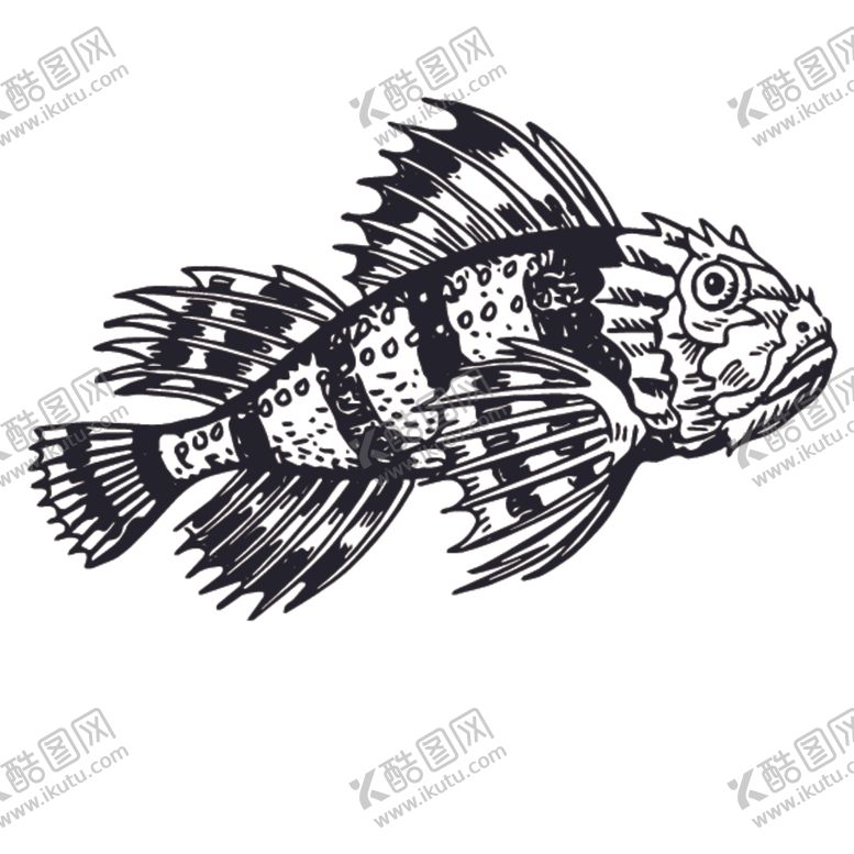 编号：48216609241341242761【酷图网】源文件下载-海洋生物鱼类图案