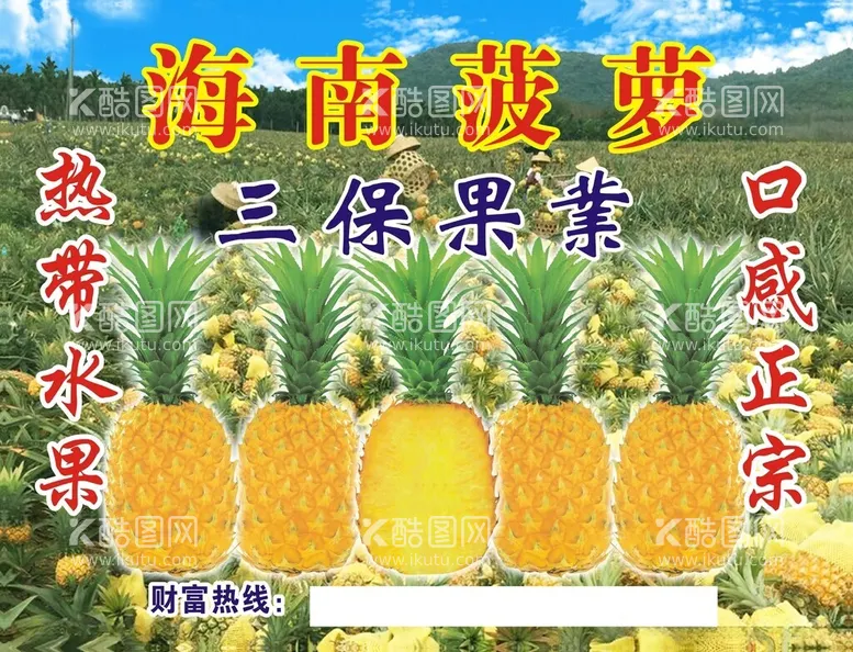 编号：48378212102158352515【酷图网】源文件下载-海南菠萝