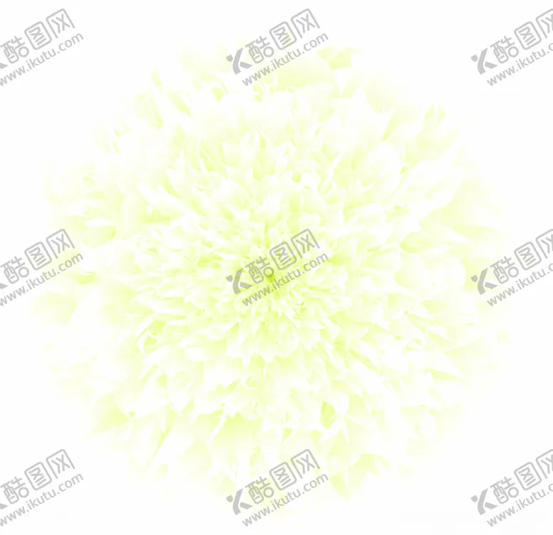 编号：22039904191810386140【酷图网】源文件下载-仿真菊花