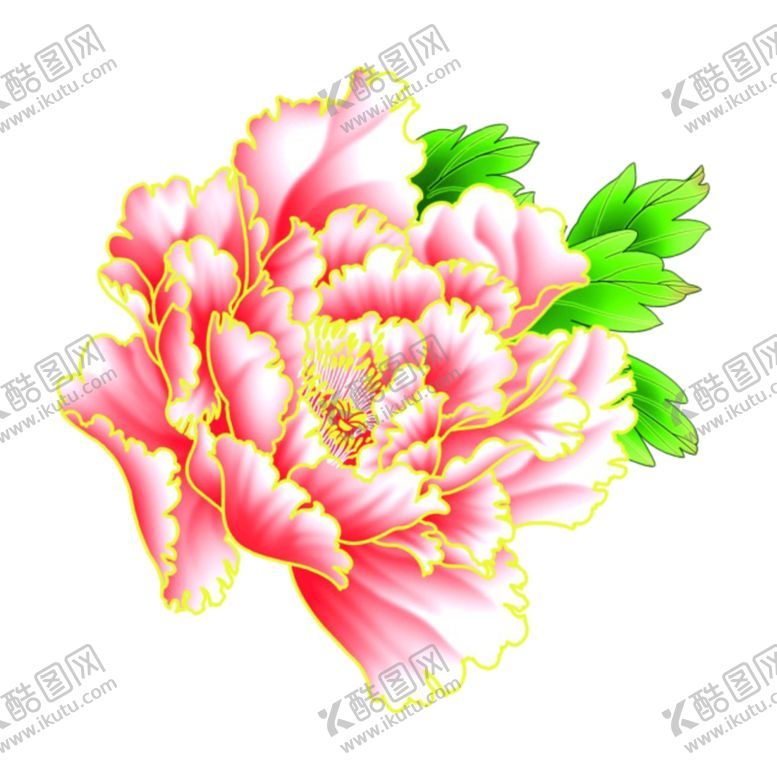 编号：34191810201446165577【酷图网】源文件下载-牡丹花