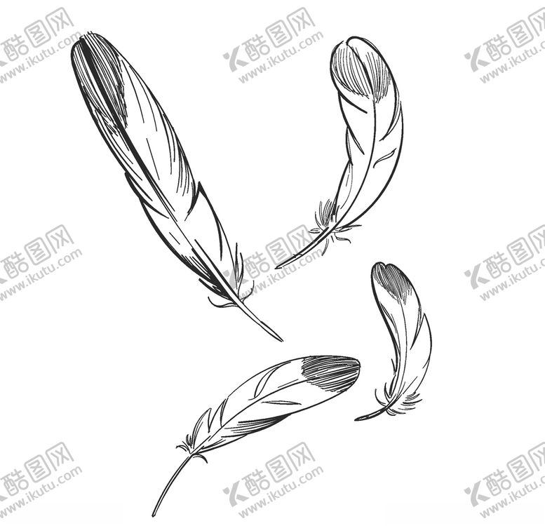 编号：15622210290328083896【酷图网】源文件下载-羽毛