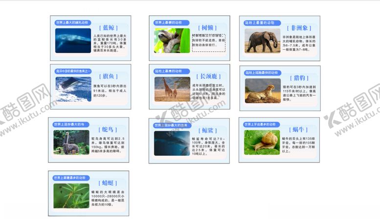 编号：98604111022014364297【酷图网】源文件下载-动物介绍牌