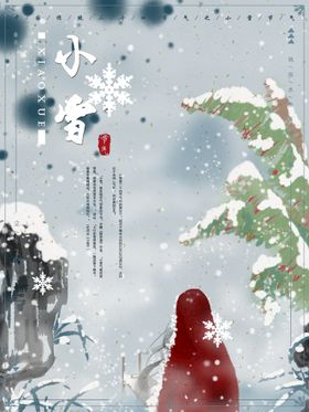 小雪海报