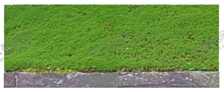 编号：70498610010646496619【酷图网】源文件下载-苔藓草皮