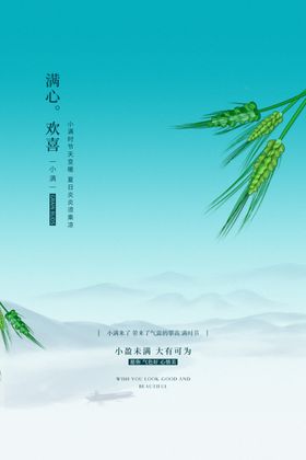 小满节气海报柳叶简约高端