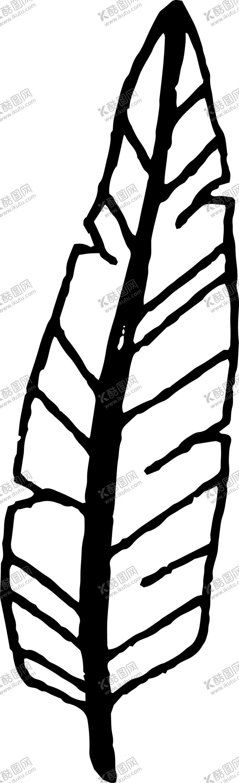 编号：22073611010421251080【酷图网】源文件下载-创意手绘羽毛