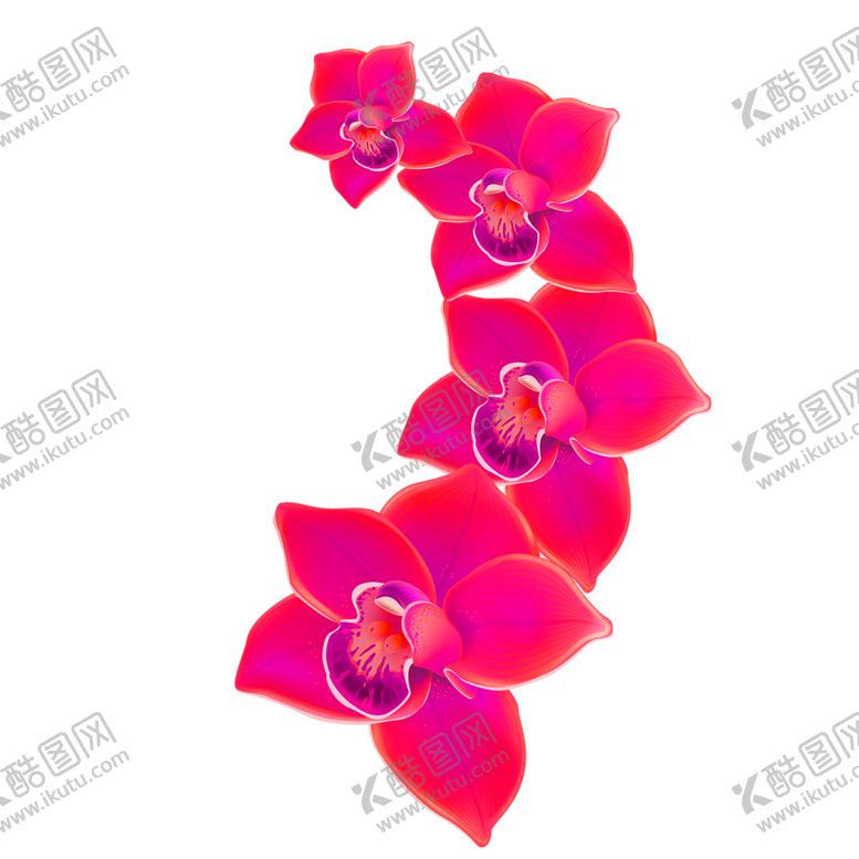 编号：62224005112127141958【酷图网】源文件下载-鲜花素材