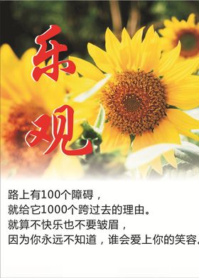 乐观