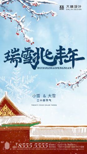 中国传统节气大雪小雪海报