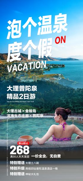 泡个温泉度个假旅游海报