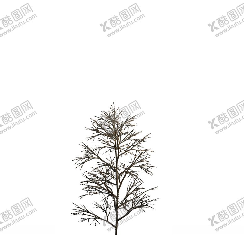 编号：43967409110201428415【酷图网】源文件下载-树木