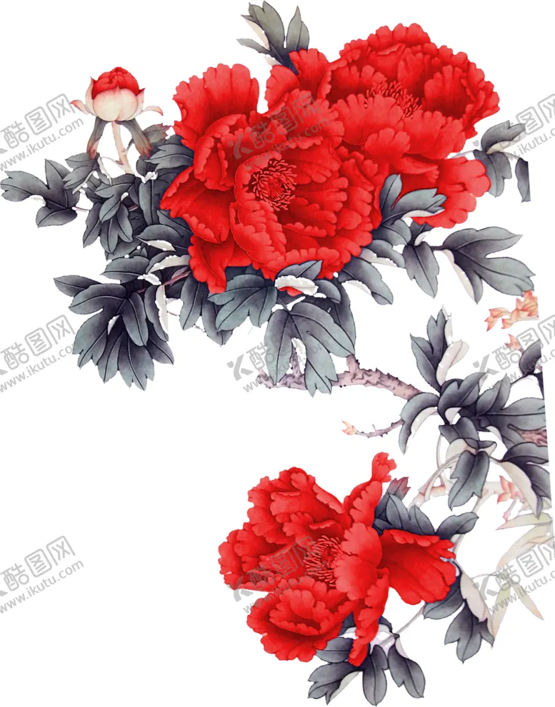 编号：85140106262241048800【酷图网】源文件下载-牡丹花